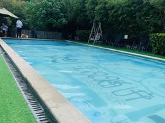 -汪说喵讲宠物乐园宠物酒店(红星美凯龙店)