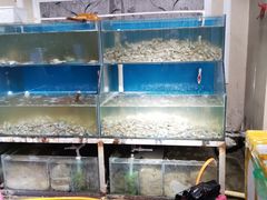 -海鲜皇宫(景泰翰林店)