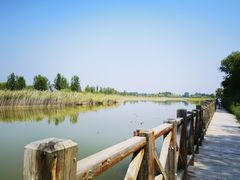 -野鸭湖国家湿地公园