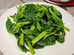 清炒豆苗-鼎泰丰(国贸商城店)