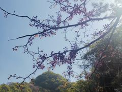 -西安祥峪森林公园