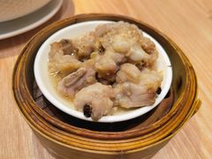 -南枝记