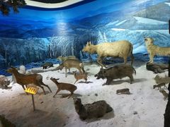 -呼伦贝尔民族博物馆