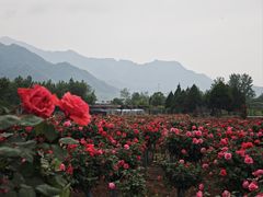 -伏牛地下河景区