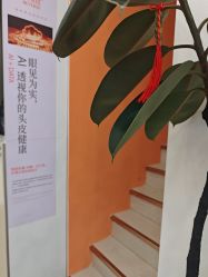 -润复丝·泽发防脱头皮管理
