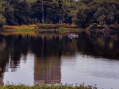 -晓港公园