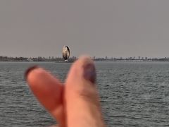 -上海滴水湖皇冠假日酒店