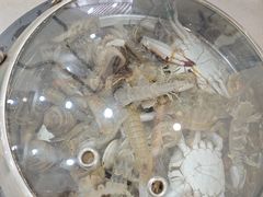 -仙螺岛海鲜自助餐厅(总店)