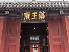 -药王庙(安国市)