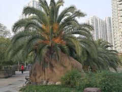 -苏州河梦清园环保主题公园