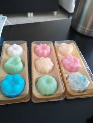 -明宇集团·积木枝芽母婴健康管理中心(天府店)