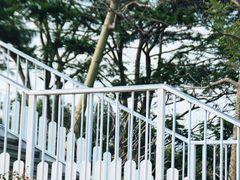 -白石龙音乐公园