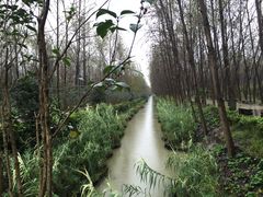 -合肥滨湖国家森林公园