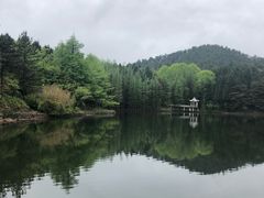 -四明山国家森林公园