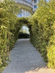 -酉嘉瑜伽YO+YOGA