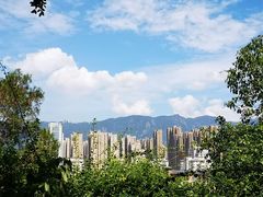 -金鸡山公园