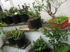 -她说户外烧烤团建(西湖店)
