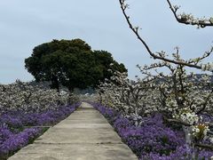 -缥缈峰景区