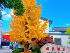 -上海鲁迅故居