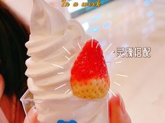 -兰熊鲜奶(颐堤港店)