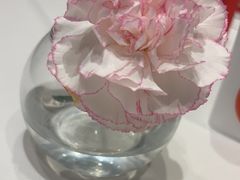 -眉州东坡(国贸店)