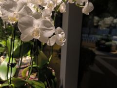 -望京辣宴·古法川菜(望京店)