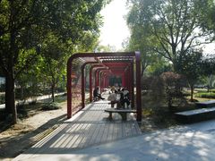 -南翔镇银翔湖公园