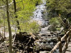 -青峰峡国家森林公园