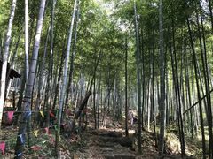 -众神白水涧景区