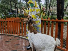 -北京野生动物园