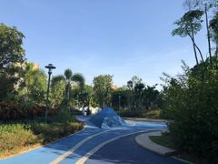 -宝安西湾红树林湿地公园