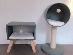 -有猫主题·治愈系猫咖(曾厝垵店)