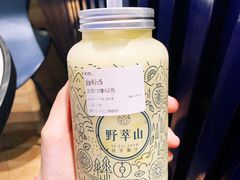 -野萃山·潮汕厚果汁(十亩地店)