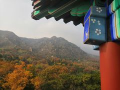 -北京鹫峰国家森林公园