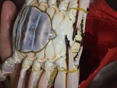 -青岛沙子口国家中心渔港