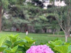 -香山公园