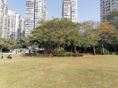 -南宁南湖公园