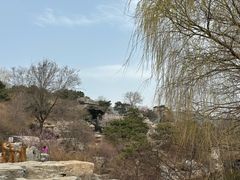 -北京西山国家森林公园