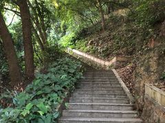 -北江夜游黄金1号1029豪华游艇