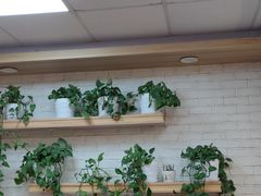 -华莱士·炸鸡汉堡(奥林花园店)