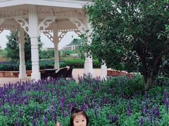 -美的鹭湖探索王国