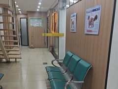 -米苏动物医院·犬猫专科·骨科外科内窥镜