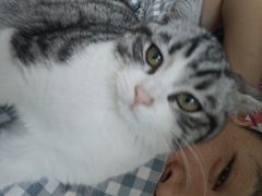 -宠福鑫康馨动物医院·骨科·眼科