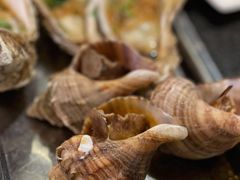 烤蚬子-午月海鲜烧烤酒店(不老街店)