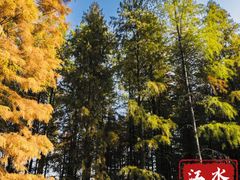 -泗洪洪泽湖湿地景区