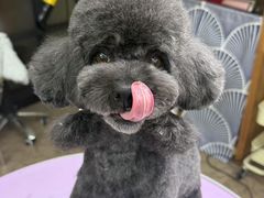 -爱派特动物医院·全科诊疗中心