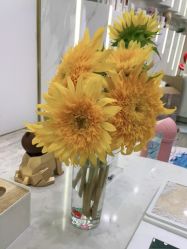 -休美安专业皮肤修复管理中心