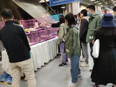 -上品折扣(回龙观店)