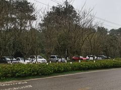 -铁山坪森林公园