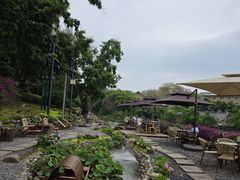 -恩阳古镇